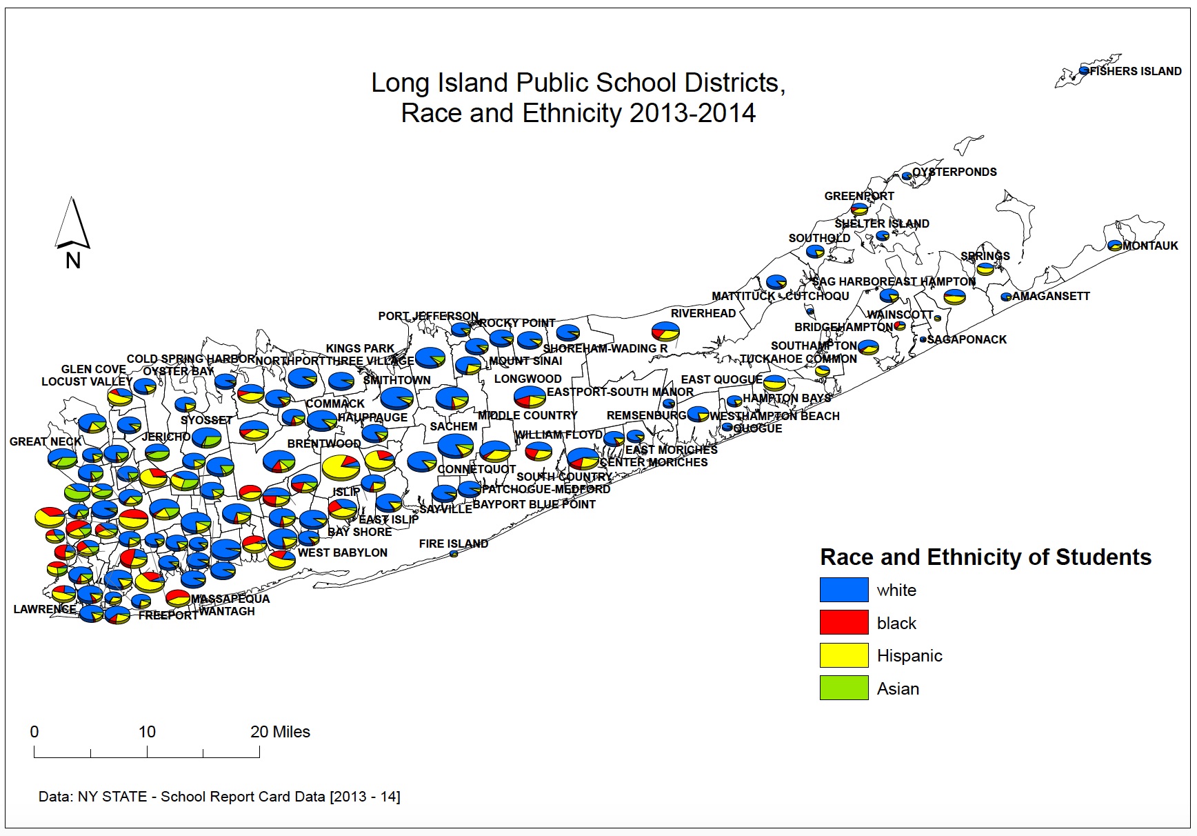 public school districts by race